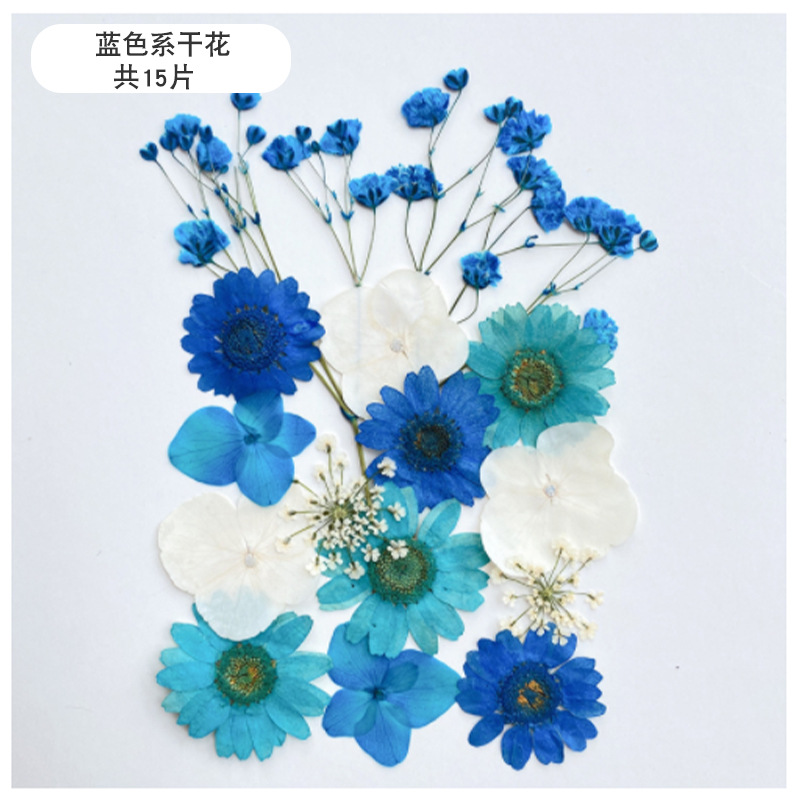 Bebé educación temprana Montessori en casa DIY sensorial botella bolsa de entrenamiento juguetes educativos Montessori Educación Temprana Formación