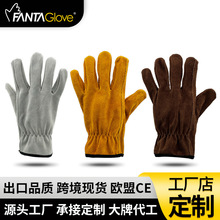 ţƤƤӹ 늺˾COӋĥ˺oճͨ