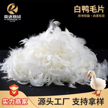 �S��ֱ�Nˮϴ����ë�����qƬ���ɶȸ�ɳ�l���^���������ë��q