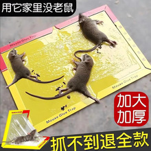 粘鼠板强力粘鼠标老鼠贴新款家用强力胶抓杀大老鼠老鼠板包邮批发