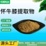 干燥萃取喷雾怀牛膝提取物