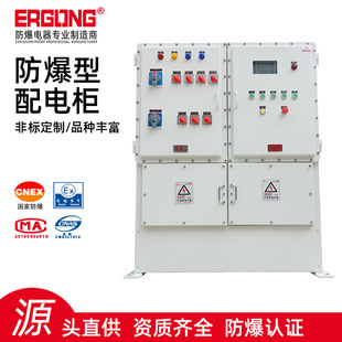 Vertical Explosion-Proof Type Distribution Cabinet Explosion-Proof Control Cabinet Explosion-Proof Circuit Breaker Box Explosion-Proof Switch Box