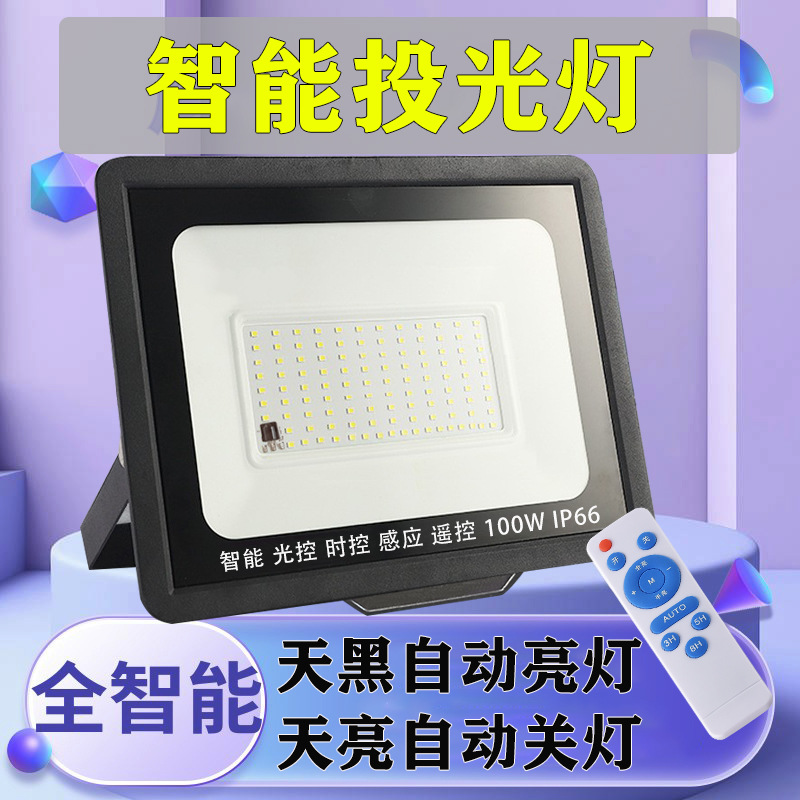 Luz de inundación controlada por luz con luz de inducción led luz de jardín de la comunidad farola al aire libre luz impermeable al aire libre luz de luz oscura de 220V