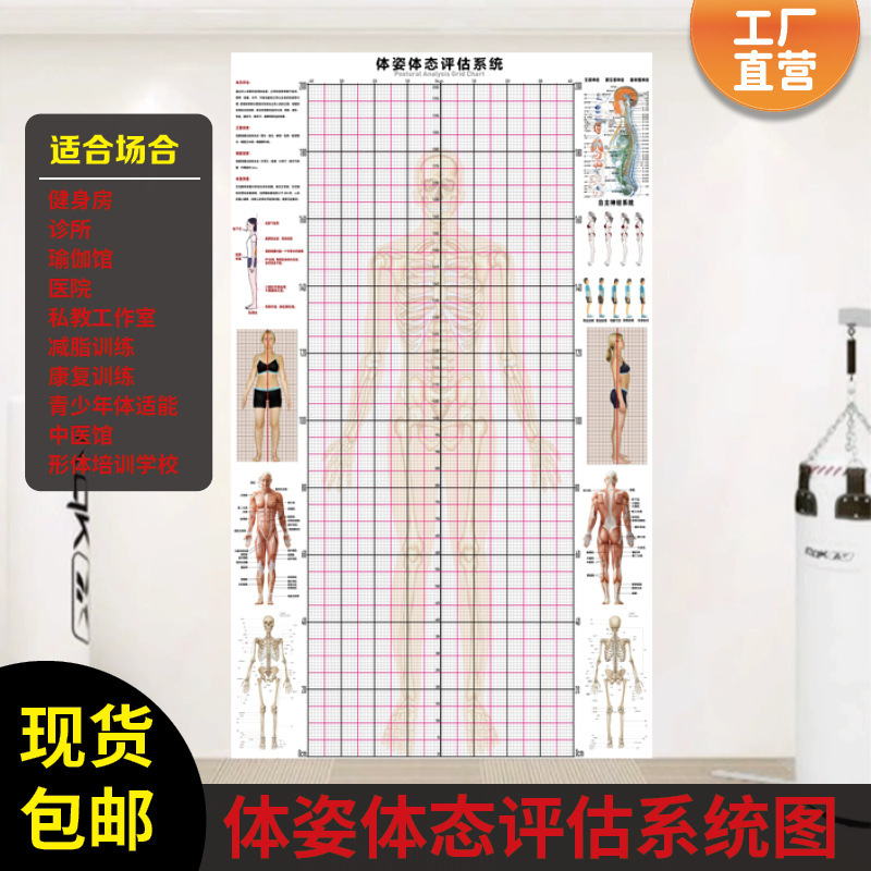 Posture Assessment Chart Yoga Studio Gym Studio Fitness Posture System Wall Chart Form Body Test Grids Paper