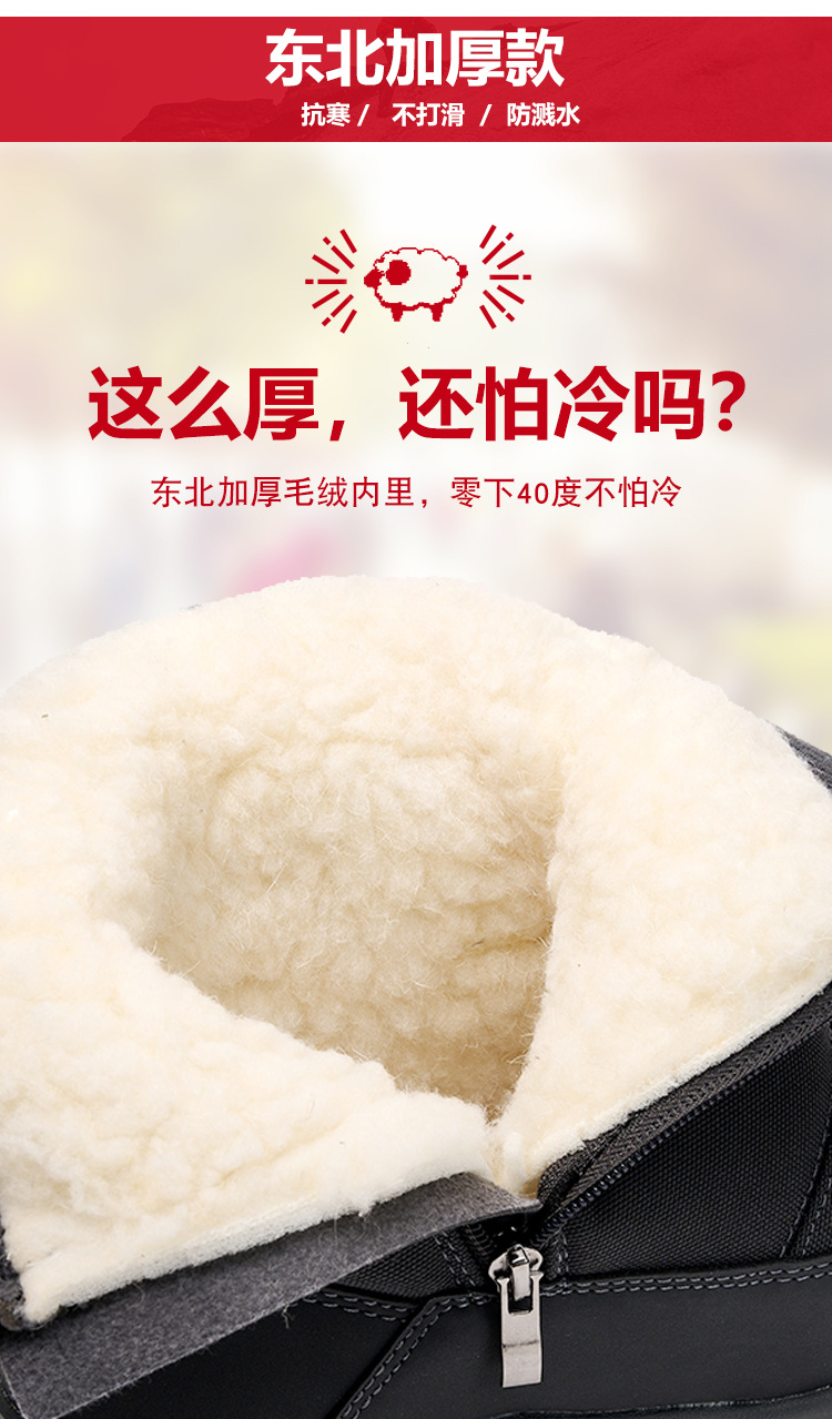 未标题-1_03.jpg?x-oss-process=image/format,png