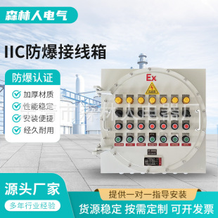 Iic Explosion-Proof Junction Box Explosion-Proof Distribution Box Control Box Module Box Instrument Box Explosion-Proof Terminal Box Electric Control Button