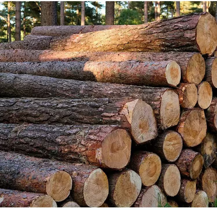 微信图片_20250328085035