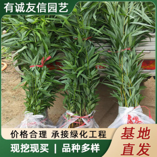 �������䴹���S�����@�־G��ͥԺ��߅��z�����е���������亵��
