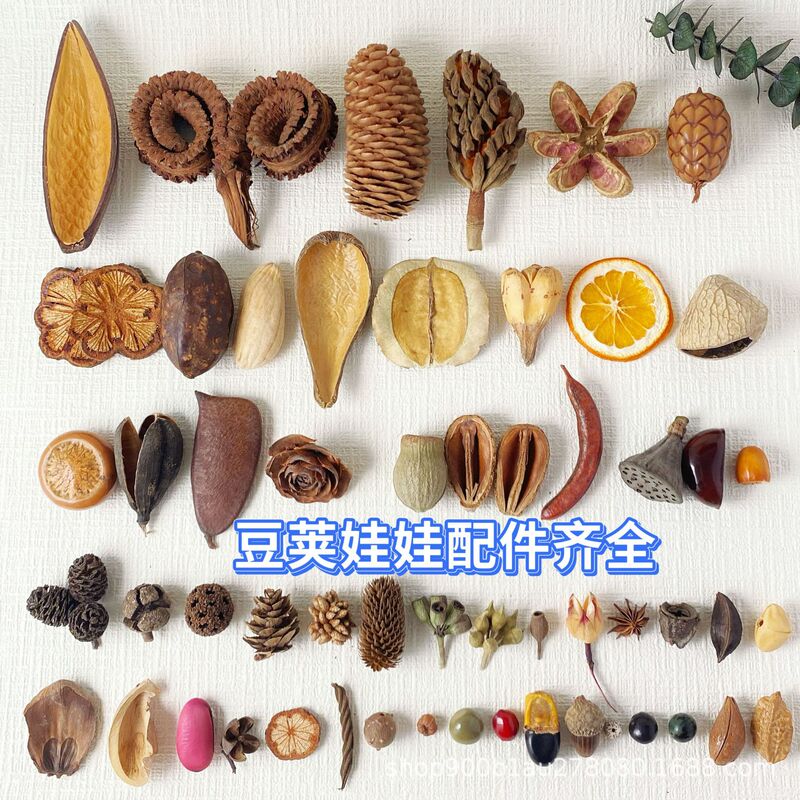 Dried Flower and Plant Specimen Accessories for Doll Decorations, Fruit Shells, Handmade Materials for Landscaping and Photography, Direct Sales from the Manufacturer