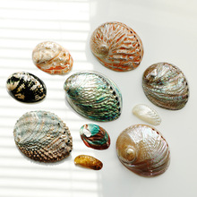 ��Ȼ�U�~����ؐ�����������m���޷����{�y�U����β���}ľ�������P