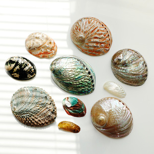 ��Ȼ�U�~����ؐ�����������m���޷����{�y�U����β���}ľ�������P