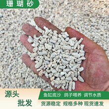 天然珊瑚沙滤材鱼缸底砂鸽子喂养专用珊瑚骨菲律宾珊瑚砂水族过滤