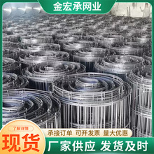 ���B䓽���W�����F�z�W���ů���B�W���B���ӵ������䓽���W