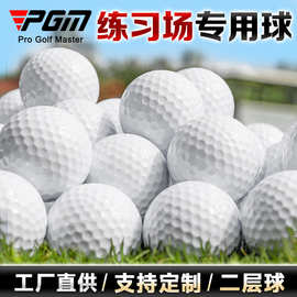 PGM高尔夫球厂家GOLF练习球高尔夫双层练习球空白练习球golf ball