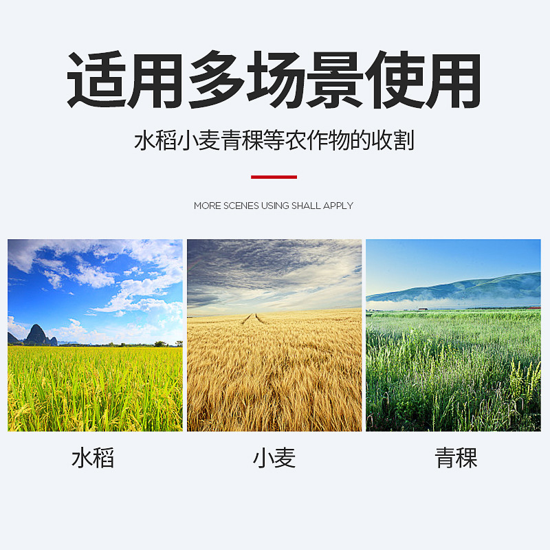 主图3