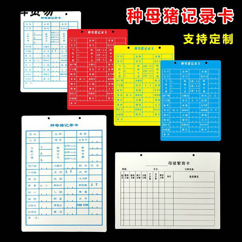 加厚母猪卡种母猪记录卡床头母猪纪录卡背膘档案卡资料空白记录卡