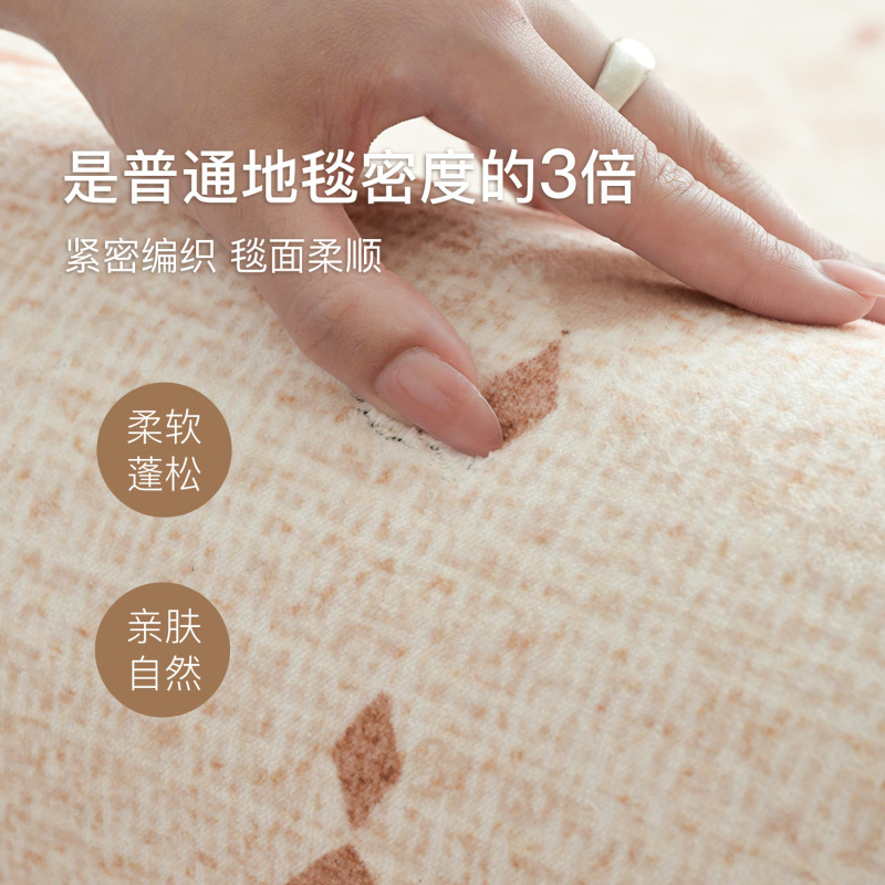 2025新款客厅地毯中古奶油风免洗可擦防水防污轻奢高级感家用地垫|undefined