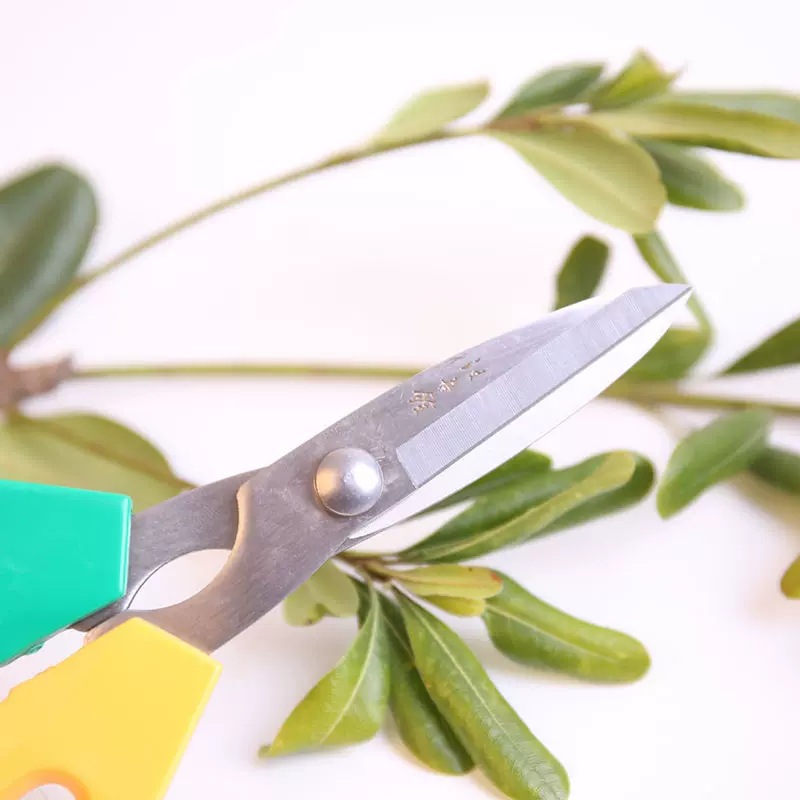 Wang Wubro tijeras de poda de ramas de carne larga de mango largo jardinería tijeras de poda de flores tijeras de brotes de ramas tijeras de hojas de maceta herramientas de bonsai