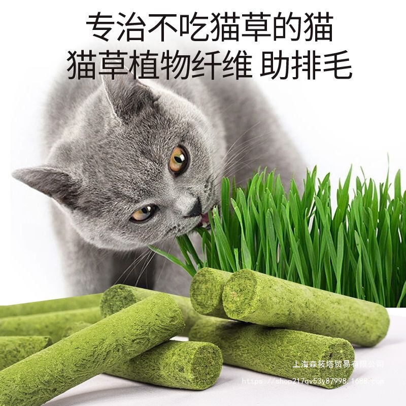 140 Pieces of Cat Grass Chew Sticks in a Container, Cat Snacks for Weight Gain and Healthy Nutrition, Suitable for Adult Cats and Kittens 140 Pieces of Cat Grass Chew Sticks in a Container, Cat Snacks for Weight Gain and Healthy Nutrition, Suitable for Adult Cats and Kittens