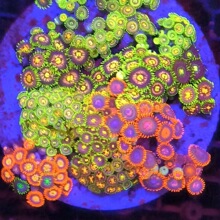 ��ˮ�~��ɺ�����׳������ﺣˮɺ��ɳȺ������Ⱥ�����쾰�����^�p