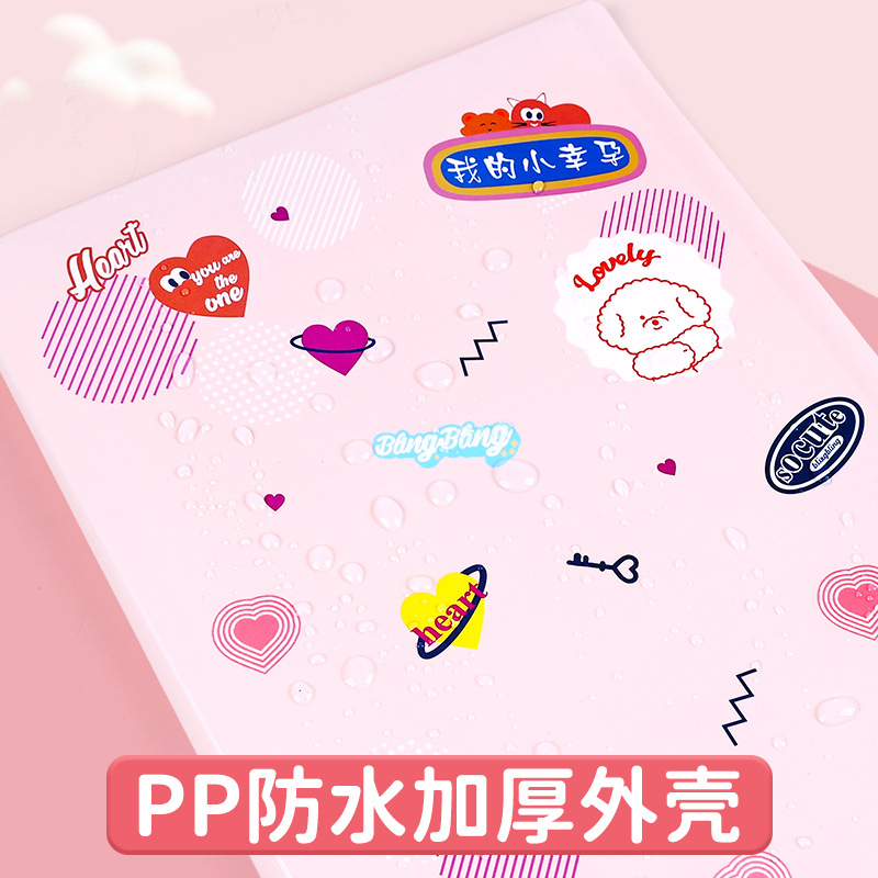 A4 registro de registro de registro de ultrasonido del embarazo de mujeres embarazadas carpeta portátil