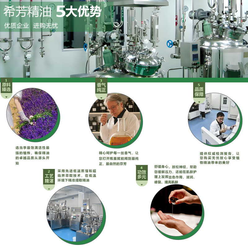 ミント単一精油 天然植物抽出香料 化粧品 アロマセラピー級 高純度香料原料|undefined