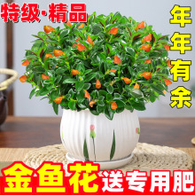 ���~�����m�����҃��辰�ļ��_�����B�׻�܃����՚⎧����