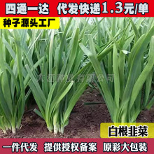 �ļ��²˷N�Ӵ��~�²˷N�Ӹ�����ի@�t���²��߲�����̨����