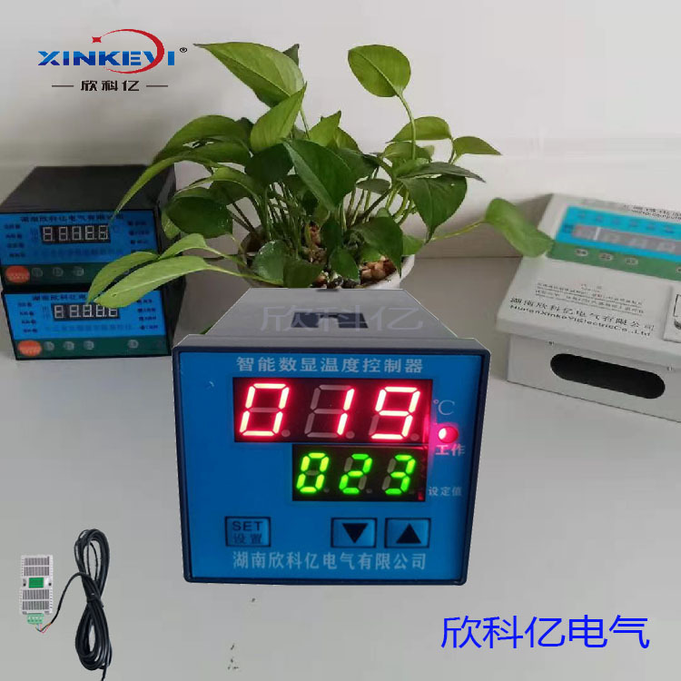 机柜温控器 干燥机温度表 220V恒温器XKY-CW200W 室温采X20