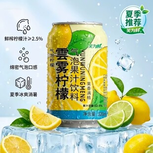 Ц���r��F���ʚ��ݹ�֭���320ml��ˬ�����֭�ļ���ʹ�ζ�Ʒ