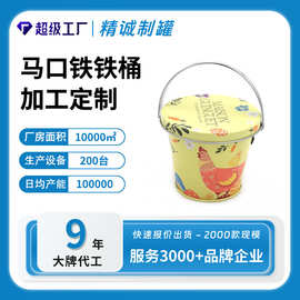 迷你办公室盆栽小铁桶 马口铁定制手提小花桶 沙滩玩具小提手水桶