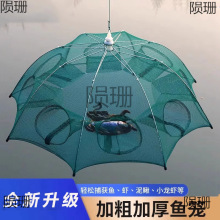 �r�\�O�W���r�W���~�\���r�W�Ӵւ����з�S�X���q�\�֒��O���~�W