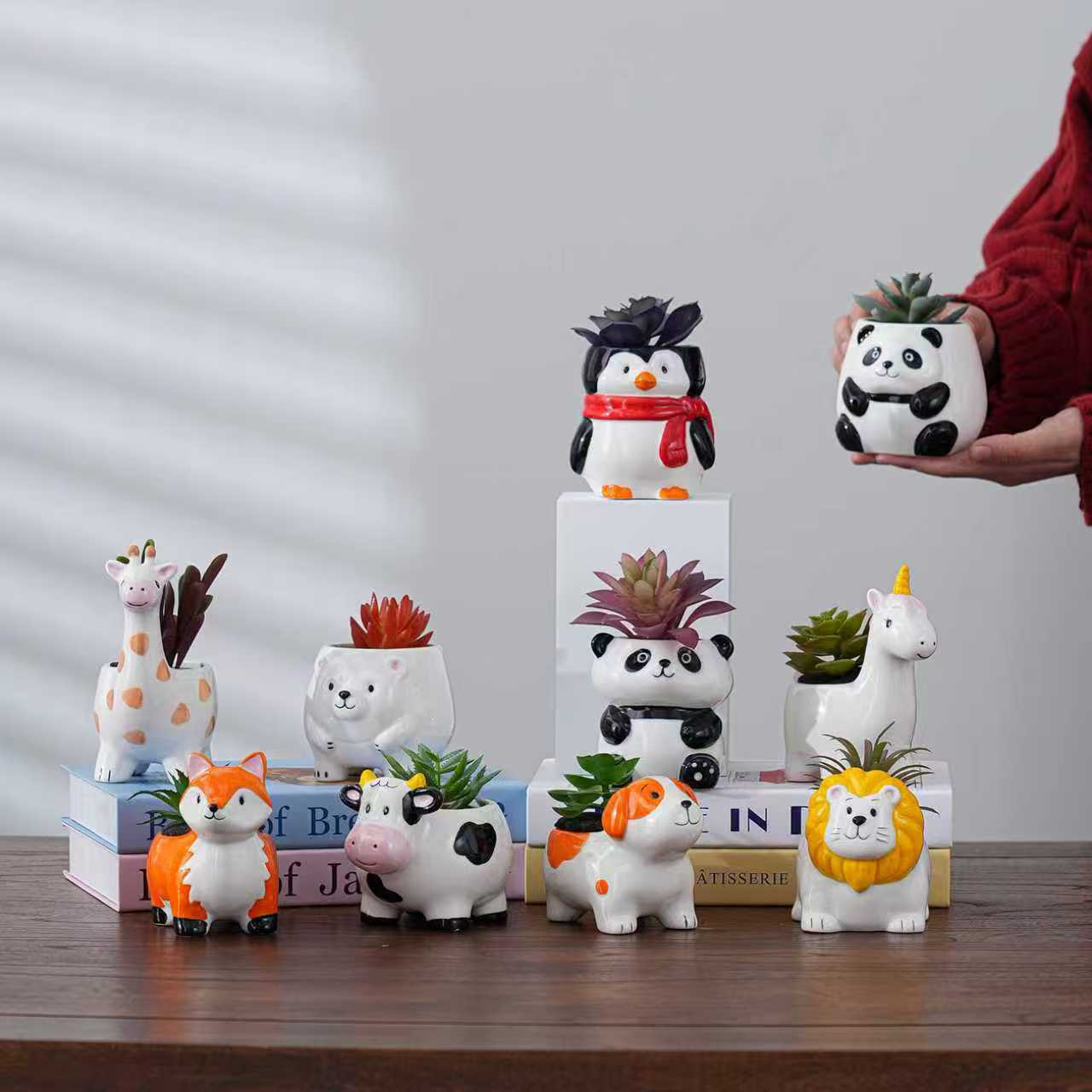 Succulent Flower Pots, Cute Cartoon Ceramic Flower Pots, Plant Pots, Indoor Living Room Desktop Personalized Ornaments, Cross-Border Gardening
