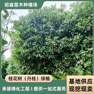 ���جF؛���l ������������ ������� ���G���������@�^�G��