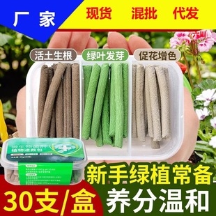 Plant Slow-release Nutrition Stick for Growing Flowers and Vegetables Household Indoor Potted Plant First Aid Stick New Gardening Fertilizer