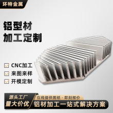 佛山厂家铝型材模块散热器铝型材生产挤压铝型材梳子散热器定制