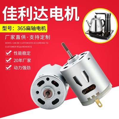 365扁轴微型电机 抽水器抽水泵电动小马达 水泵微型直流电机