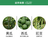 Сянчжэнда зеленая наложница Pircurbal Acetae, порошок арбуза, бактерия для пестицидов -пестицидов с фасолью 10 мл.