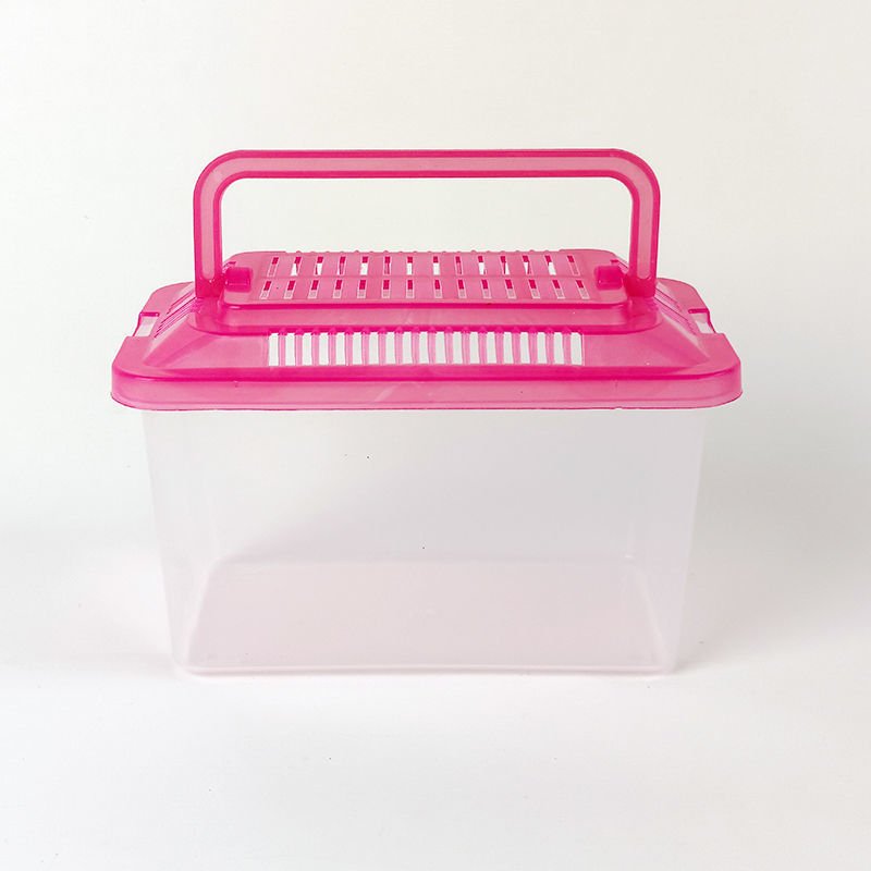 Pecera Mini con Tapa para Tortugas de Plástico Transparente, Con Tapa, para Sala de Estar image 9