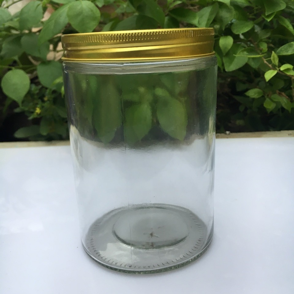 新款770ml玻璃瓶铝盖蜂蜜瓶鱼子酱蜡烛台直筒玻璃罐梅森罐