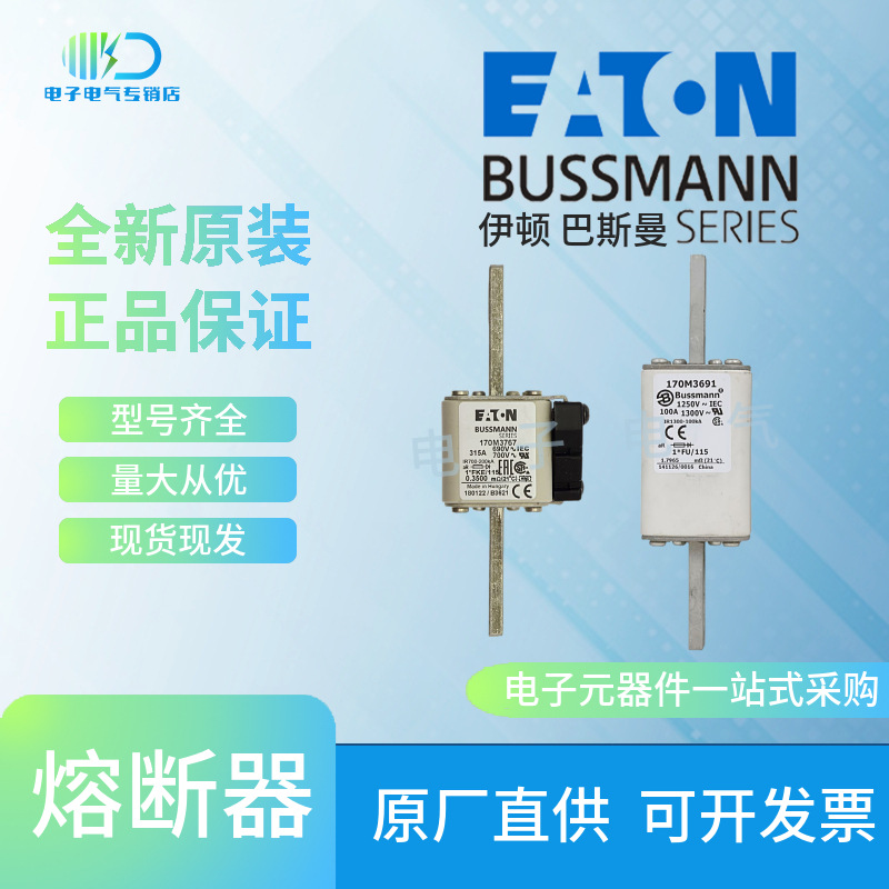 170M3196 170M3197 170M3198快速熔断器保险丝原装Bussmann巴斯曼