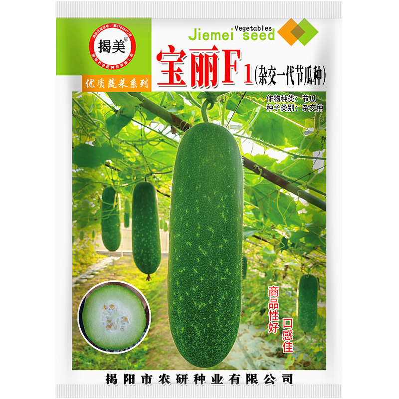 揭美宝丽FI长节瓜种子 杂交一代早熟绿皮小冬瓜毛节瓜籽 原装50粒