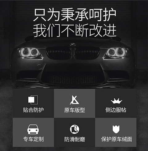 Car Wire Ring Floor Mats Single Piece Car Interior Main Driver and Passenger Rear Carpet Type Car Mats Special Car Models