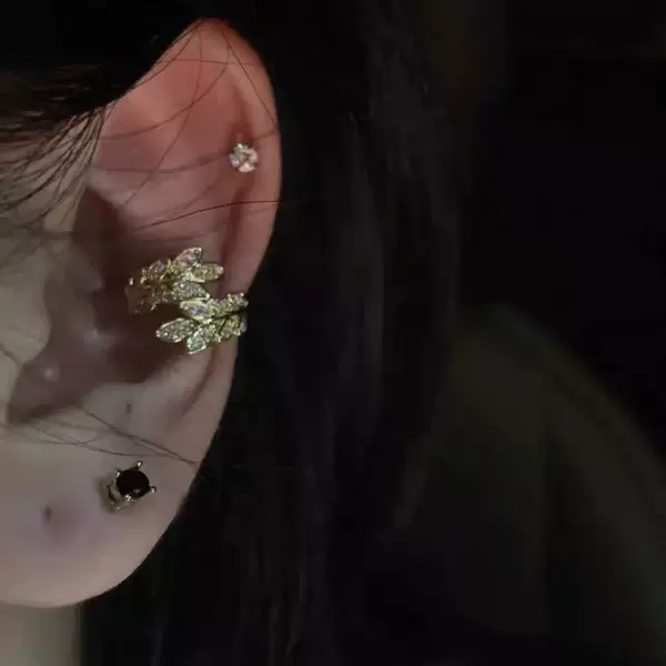 New Exquisite and Compact High-End Non-Pierced Earrings with Leaf Design, Versatile Zircon Earrings for Women with Unique Style