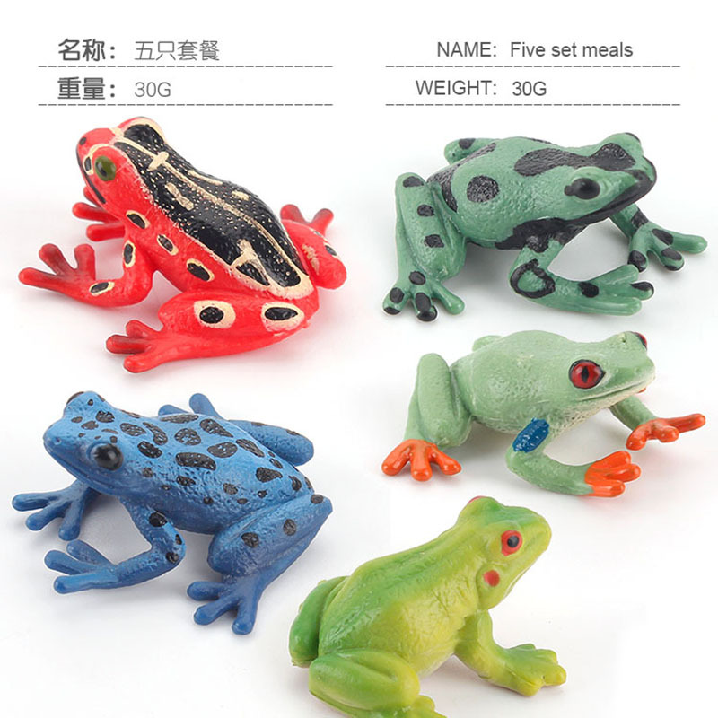 Educación temprana cognitiva para niños simulación anfibio creativo mini traje de rana rana americana rana toro juguete de decoración de rana arborícola