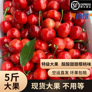 ɽ�|��̨��������5�����r�Fժ������ˮ��������a܇�����]J�Y��