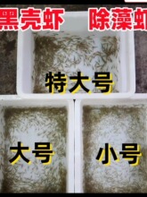 ��̖�ښ��r1С̖8�����r���������ش�̖3����