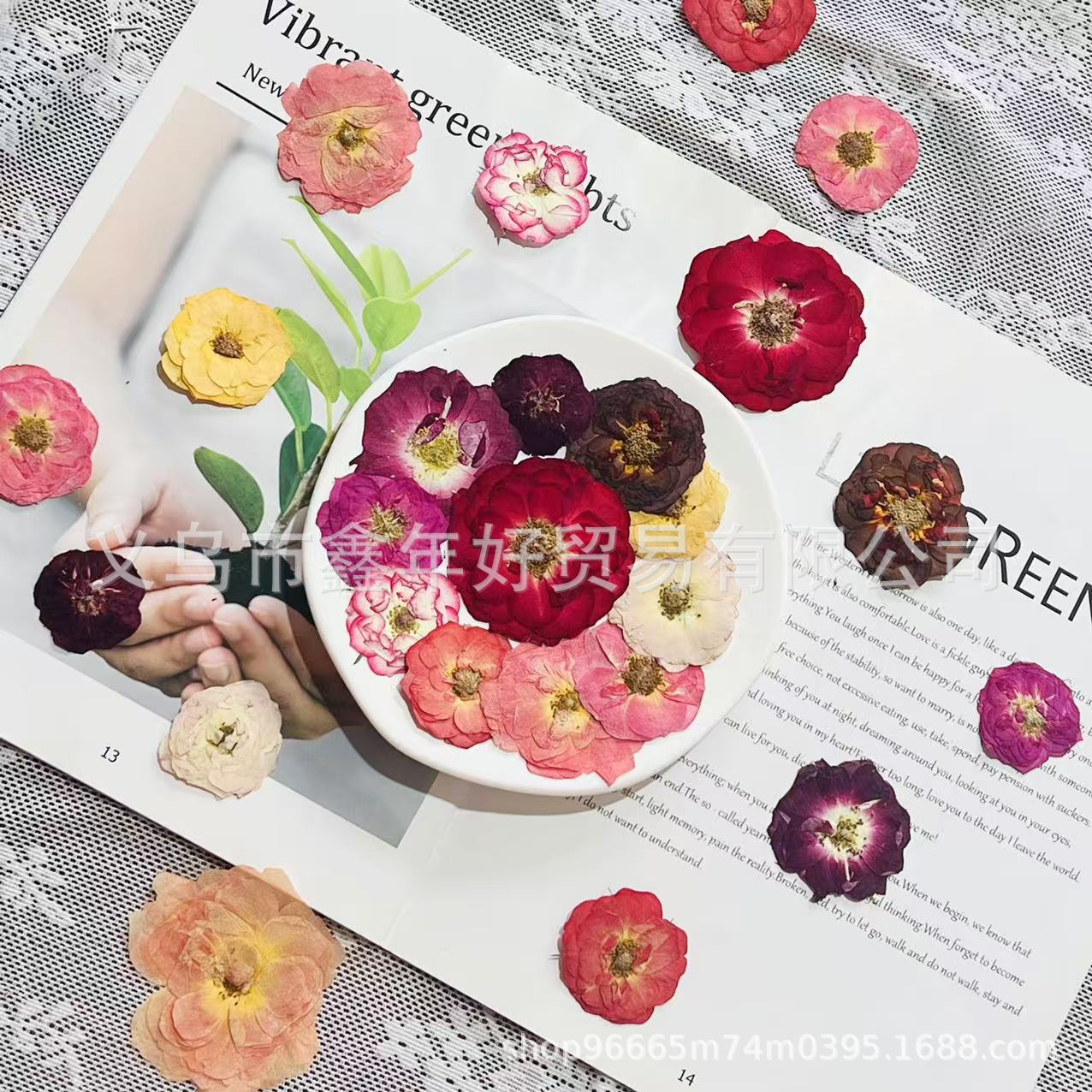 玫瑰花干花押花真花压花相框画写真贴脸妆滴胶手机壳植物标本