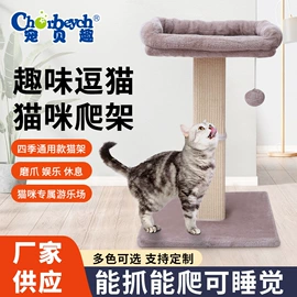 猫爬架;猫猫玩具;猫猫包、箱