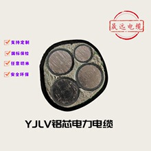 包郵 鋁芯電纜 工地臨電專用 3X150+1 聚乙烯護套電力電纜